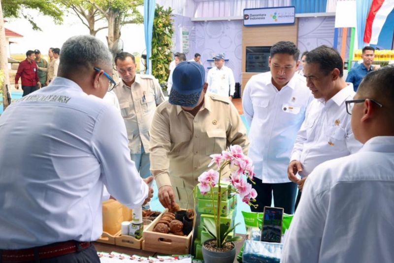 PTPN Siap Laksanakan Hilirisasi Gambir Sesuai Kebijakan Prabowo