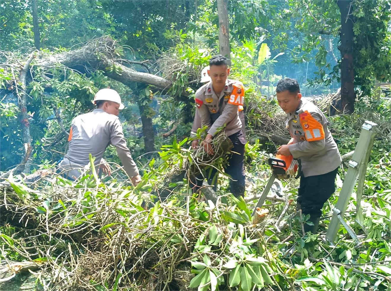 BMKG Kertajati Ingatkan Potensi Cuaca Ekstrem, Masyarakat Waspadai