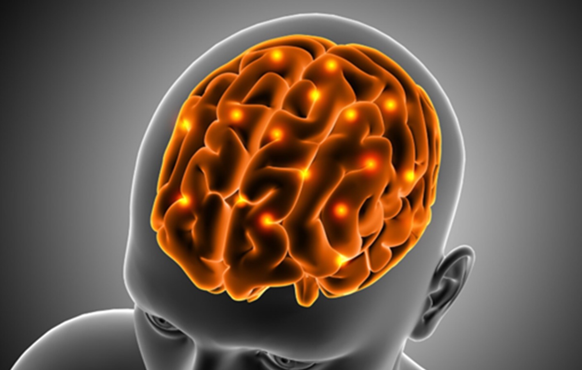 Ilmuwan Ciptakan Otak Mini untuk Diagnosis Skizofrenia dan Bipolar