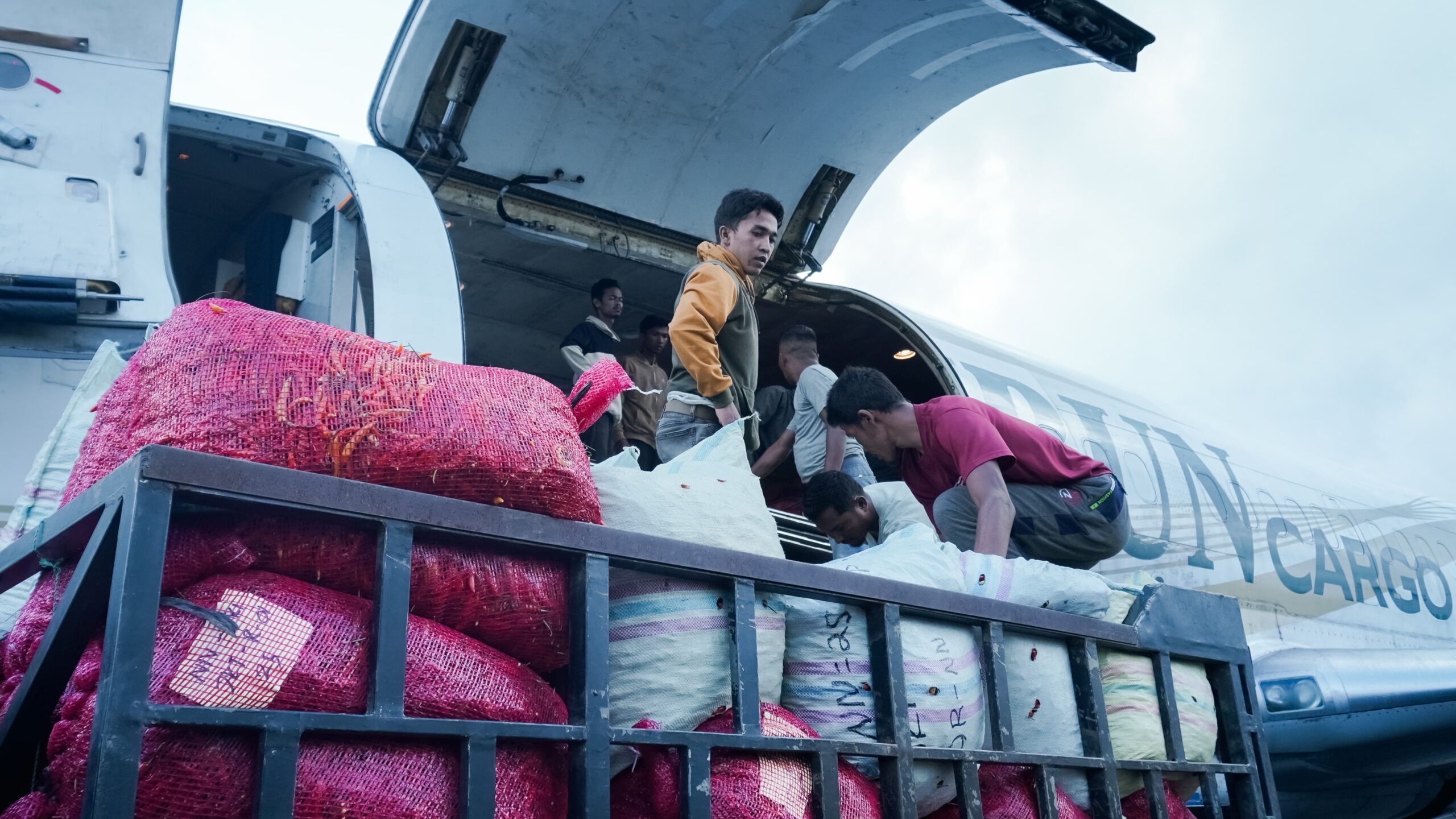 Dukungan Logistik dan Pertanian Lokal untuk Pemulihan Aceh