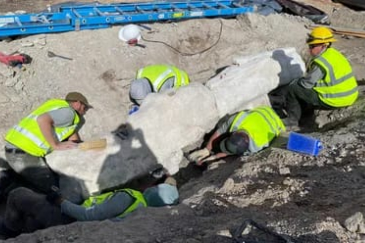 Fosil Raksasa Ditemukan di Taman Monumen Nasional Dinosaurus