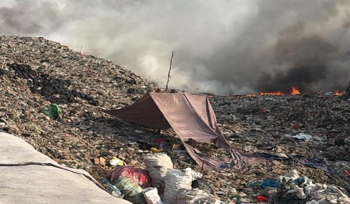 [original_title]