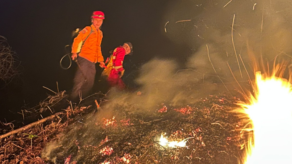 Kebakaran Lahan Luwu Timur Lumat 1 Hektare, Sulsel Terancam