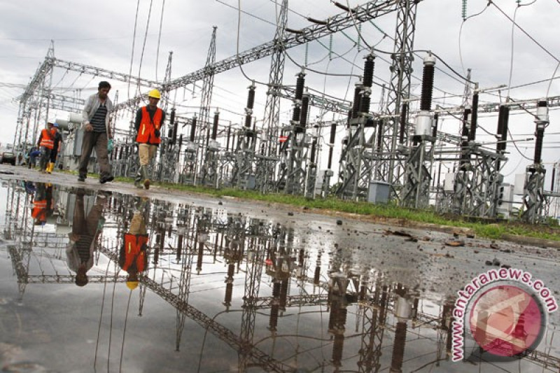 PLN IP Luncurkan Inovasi Sosial “Kampung Laos Serumpun” di Banyuasin