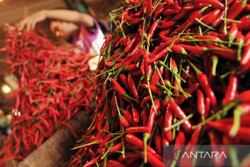 Harga Cabai Rawit Tercatat Rp78.100/kg, Telur Ayam Rp29.550/kg