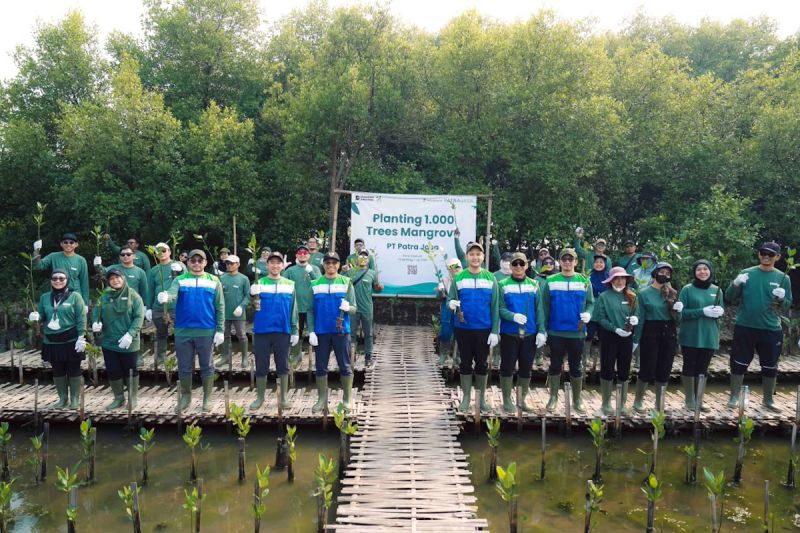 Patra Jasa Tanam 1.000 Bibit Mangrove untuk Pesisir yang Kuat