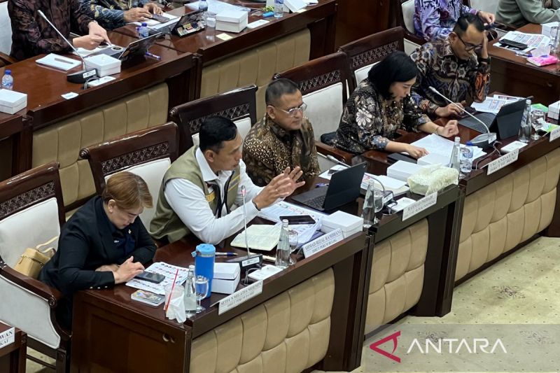 Dirut Bulog: Masyarakat Tak Perlu Panik, Stok Beras 4,3 Juta Ton Aman