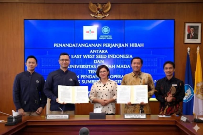 UGM-Ewindo Luncurkan Bank Sayuran untuk Ketahanan Pangan