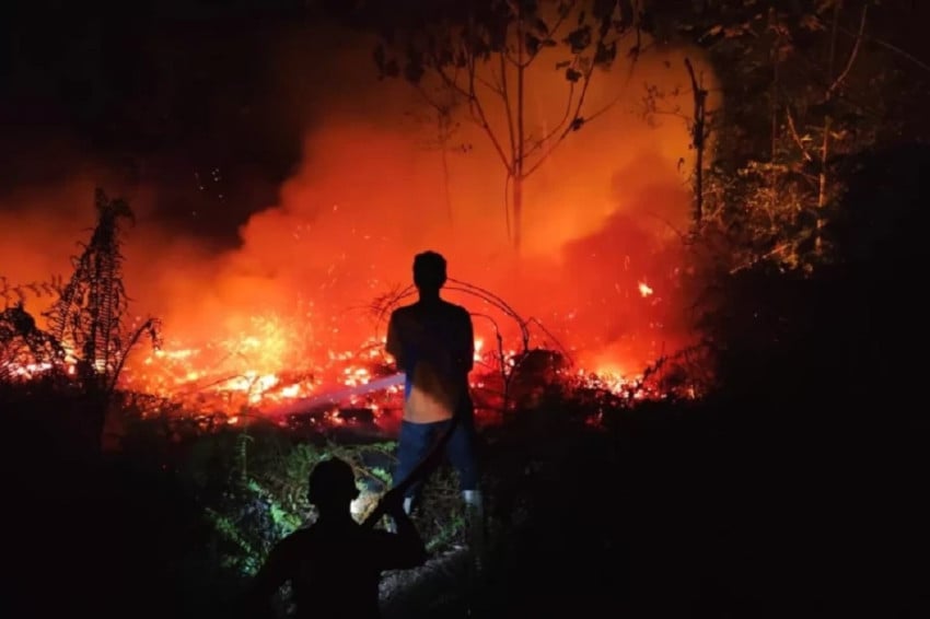 Tersangka Karhutla Meningkat, Kini Jadi 113 Orang